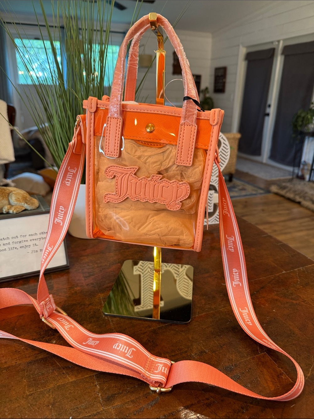 Juicy Couture Coral Transparent Mini Tote with Matching Strap